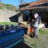Marché de Noël à Parzac