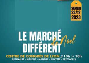Marché de Noël aux Halles, Centre de congrès de Lyon (69)